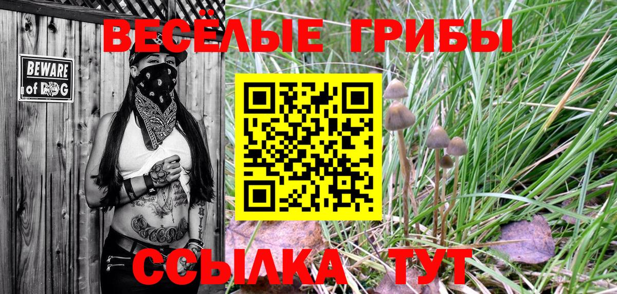 Галлюциногенные грибы MAGIC MUSHROOMS  купить  сайты  Гусев  Галлюциногенные грибы Magic Shrooms  Вход с VPN 