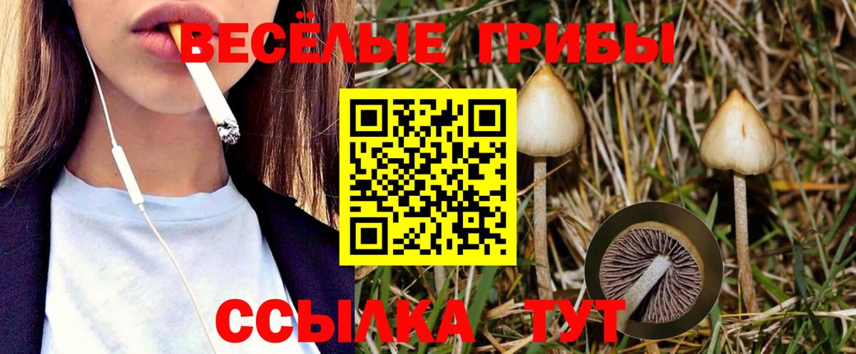 Галлюциногенные грибы мицелий Гусев
